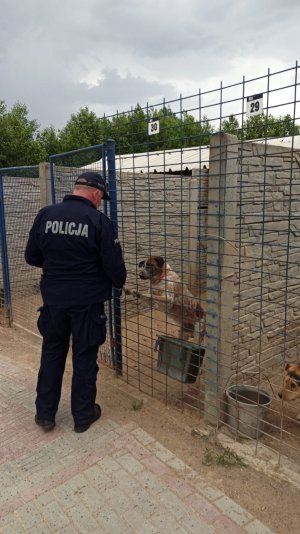 Zdjęcie przedstawia policjanta, stojącego przy jednym z boksów w którym znajduje się pies.