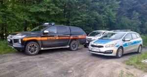 Zdjęcie przedstawia zaparkowane pojazd - policyjny radiowóz, SOK oraz białe auto.