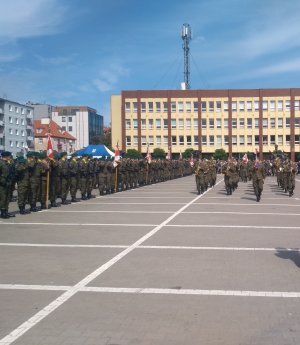 Zdjęcie z parady wojskowej