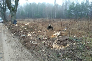 Zdjęcie przedstawia miejsce zdarzenia drogowego, w tle policyjny radiowóz.