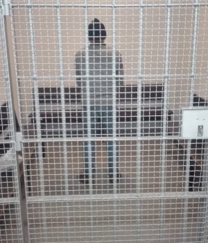 Zdjęcie przedstawia mężczyznę w celi.