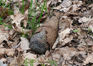 Zdjęcie przedstawia znaleziony niewybuch.