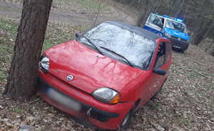 Zdjęcie przedstawia czerwone auto przy drzewie a obok policyjny radiowóz w lesie.