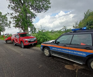 Zdjęcie przedstawia służby biorące udział w poszukiwaniach.