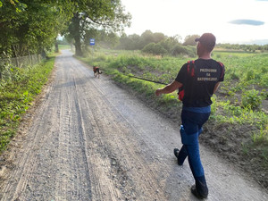 Zdjęcie przedstawia przewodnika wraz z psem na drodze szutrowej.