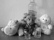 Misie, alkohol leżący na stole
