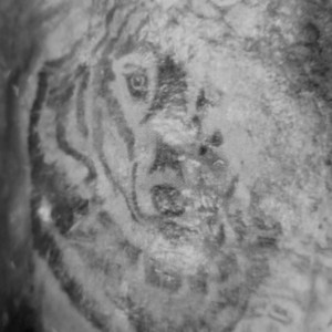 Zdjęcie przedstawia tatuaż w kształcie wilka