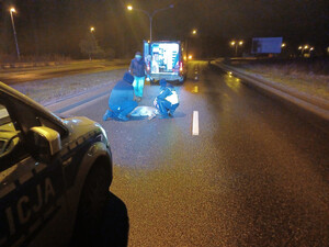 Zdjęcie przedstawia miejsce zdarzenia drogowego z udziałem rannej sarny, służby pracujące na miejscu.