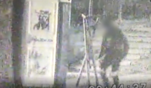 Źródło: Straż Miejska w Olsztynku