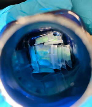 SUBSTANCJE ZABRONIONE