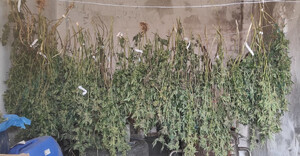 Zdjęcie przedstawia zabezpieczone narkotyki