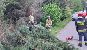 Zdjęcie przedstawia miejsce zdarzenia drogowego na trasie Słupy-Wadąg - strażaków, auto oraz powalone na drogę drzewa.