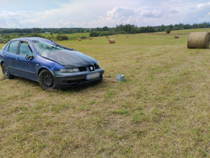 Zdjęcie przedstawia niebieskie auto w polu.