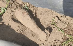 Znaleziony niewybuch