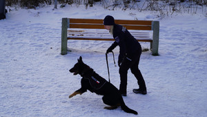 Zdjęcie przedstawia przewodnika oraz psa służbowego