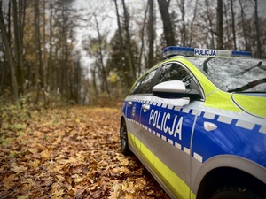 Radiowóz na leśnej drodze