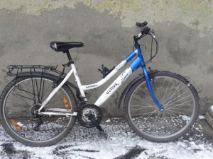 Zdjęcie przedstawia rower koloru biało-niebieskiego. Na ramie znajduję się napis &quot;Active, Leader&quot;.
